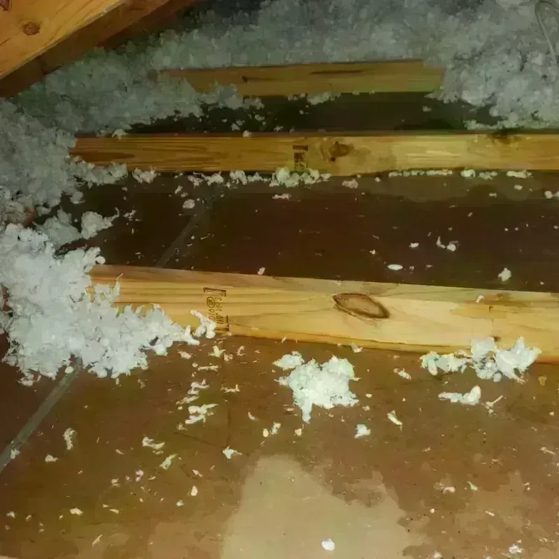 Attic Water Damage in Mercer County, ND