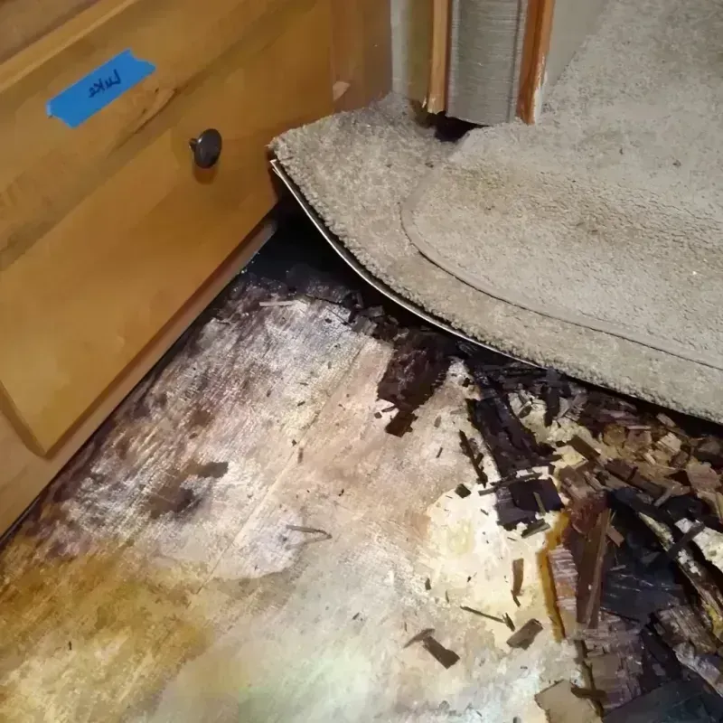 Wood Floor Water Damage in Mercer County, ND